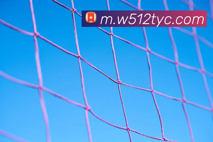 企业概况